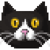 Profile picture of Vivian with her cat, Mimi